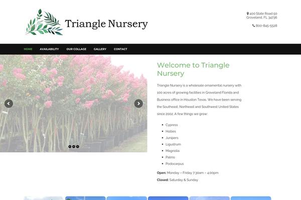 Site using Image Rotator Widget plugin