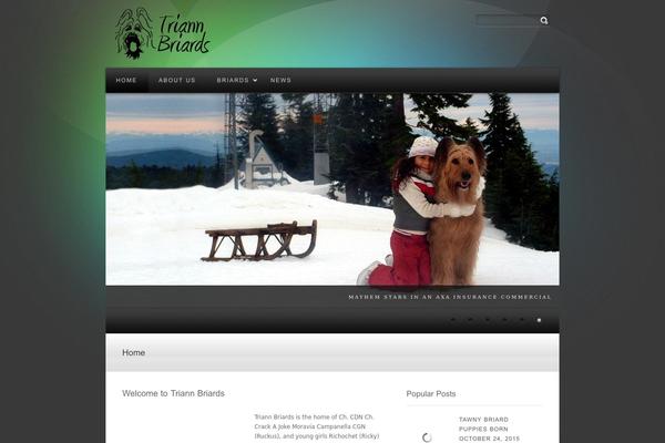 triannbriards.com site used Luxuos1.4