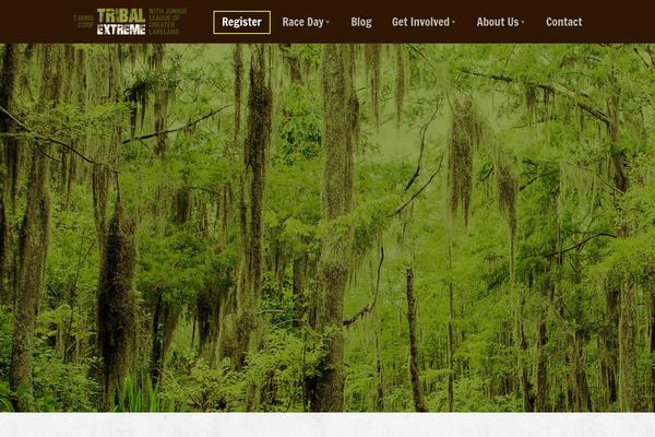 Divi theme site design template sample