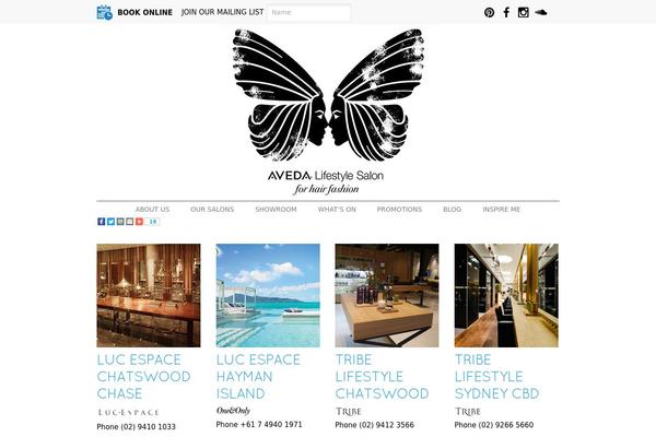 Site using Carousel-anything-for-vc plugin