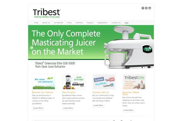Inspired theme site design template sample