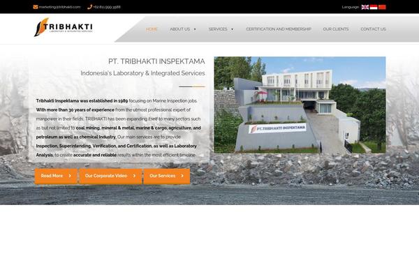 Site using Megatron-framework plugin