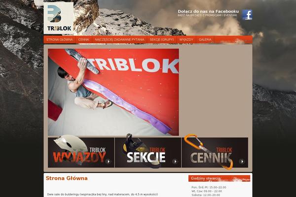 Szablon theme site design template sample