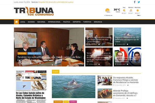 ColorMag theme site design template sample