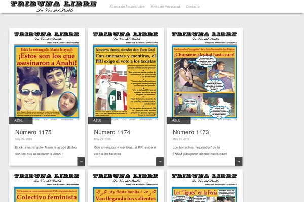 Pinbin theme site design template sample