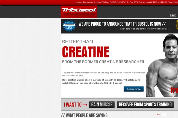 Site using Affiliates-pro plugin