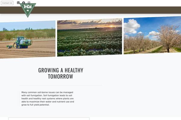 WP Bootstrap 4 theme site design template sample