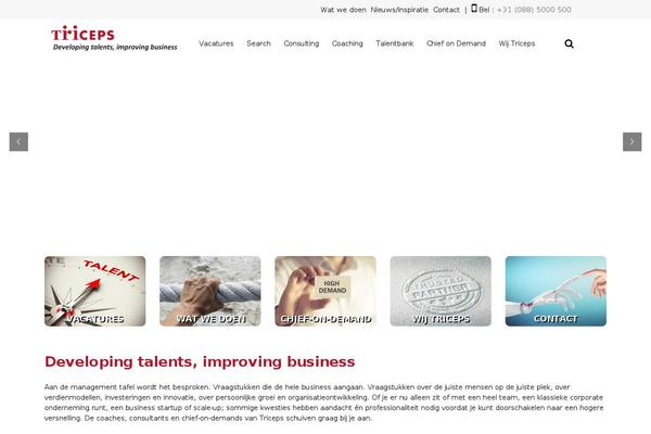 triceps.nl site used Triceps