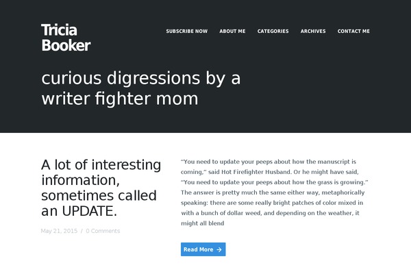 Spruce theme site design template sample
