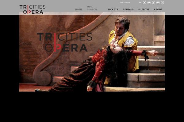 Site using Revolution Slider plugin