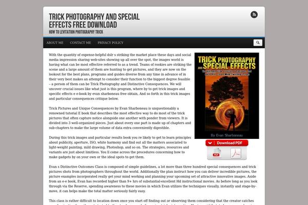Elegantbiz theme site design template sample