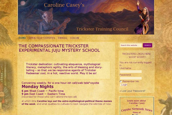 Site using WP Blog and Widget plugin