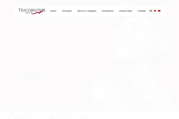 Wish theme site design template sample