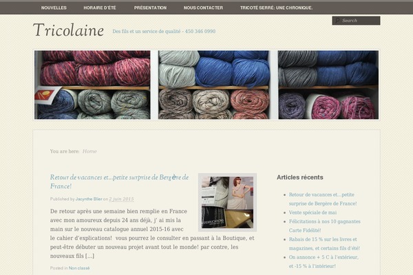My Life theme site design template sample