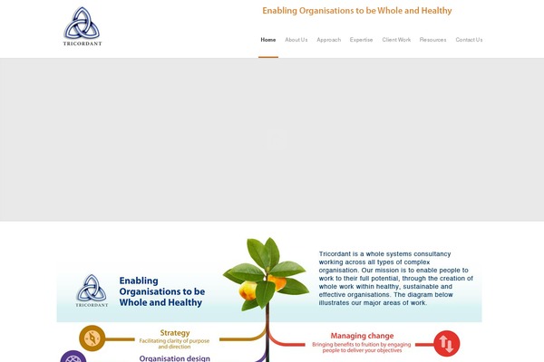 Incredible Wp theme site design template sample