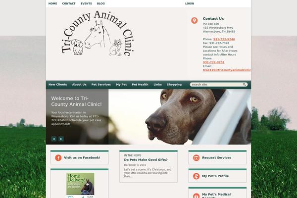 Site using Lifelearn-accessibility plugin