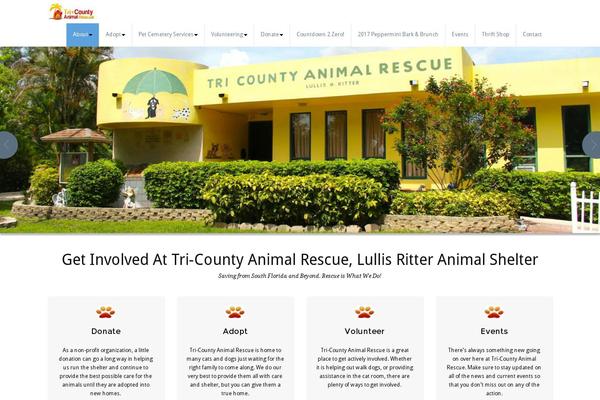 Site using Ultimate Social Media Icons PLUS plugin