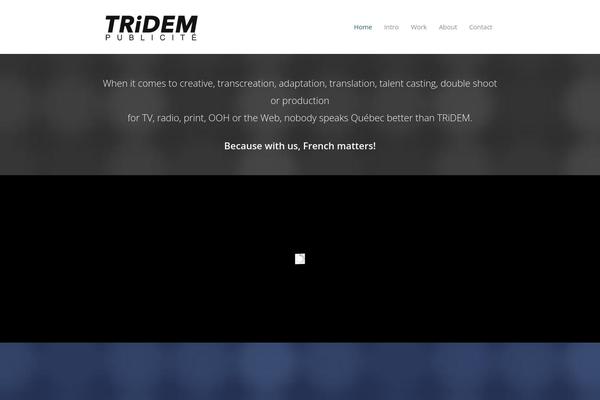 tridem.net site used Salient-2