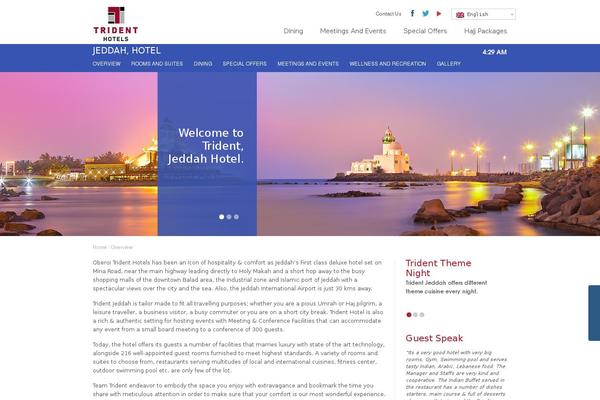 Site using Testimonials Slider plugin