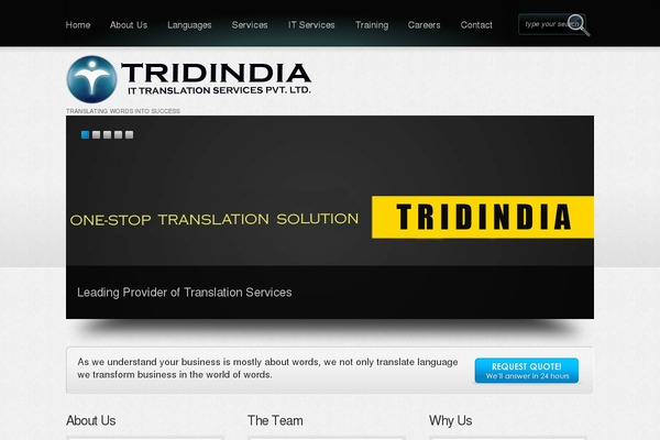 Consultio theme site design template sample