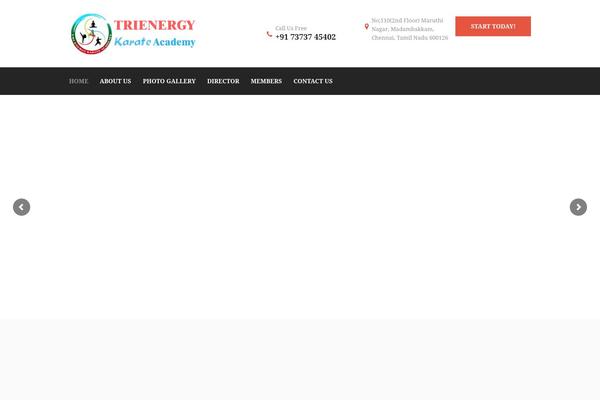 trienergykarateacademy.com site used Samurai-school