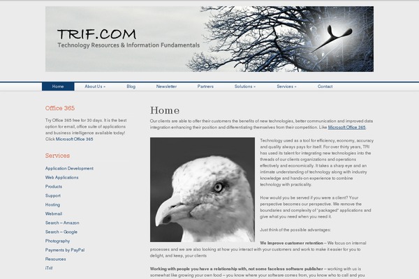 Mosaic theme site design template sample