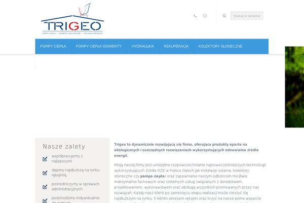 Brandon theme site design template sample