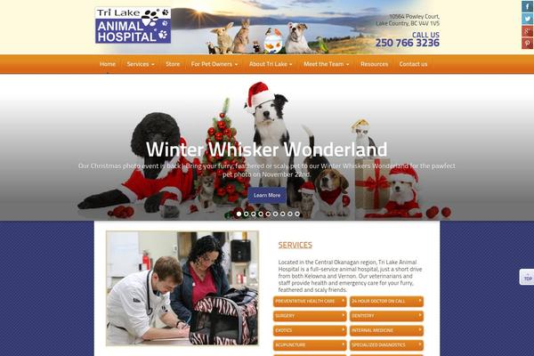 Site using Dynamic Headers plugin