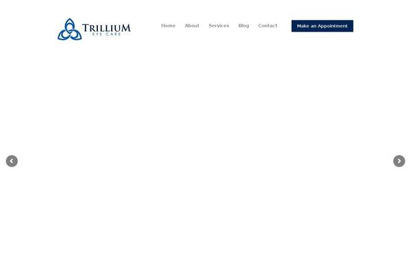 Site using Screets-chat plugin