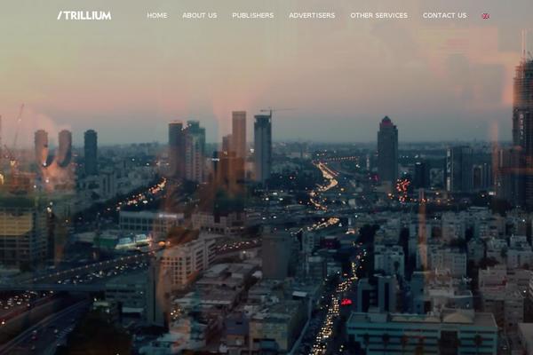 Site using Custom CSS plugin