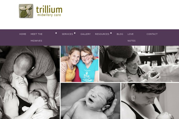 Advocator theme site design template sample
