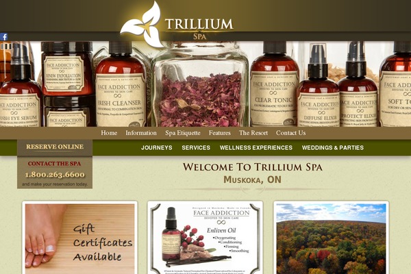 Site using All-In-One Cufon plugin