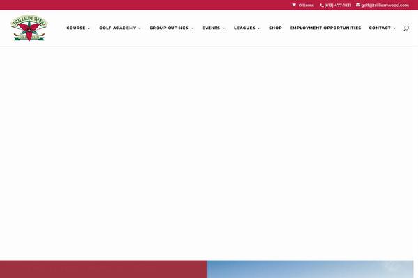 Site using Salient-widgets plugin