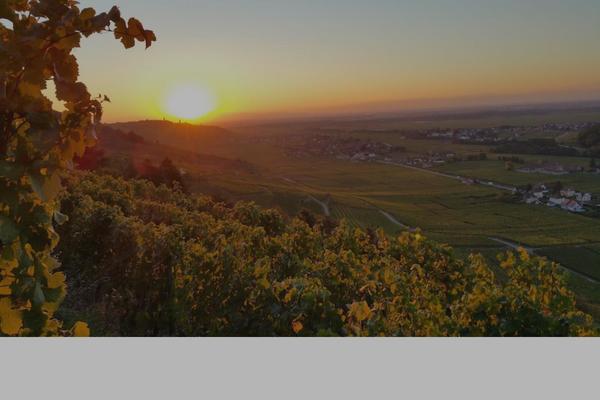 Site using WP Splash Image plugin