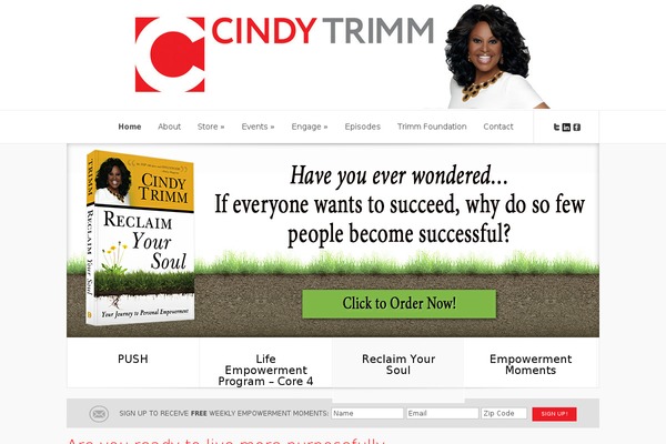 Lucid theme site design template sample