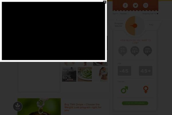 Bridge theme site design template sample