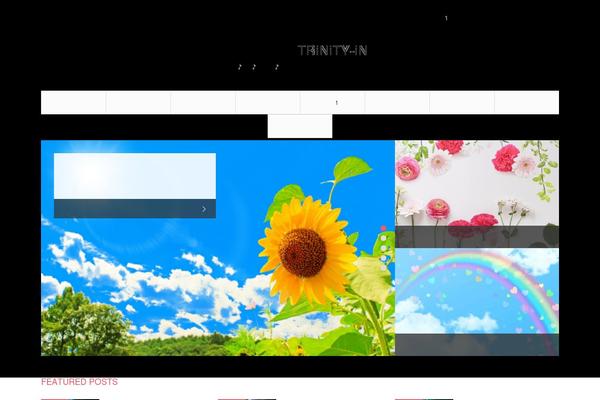 trinity-in.com site used Angel_tcd047