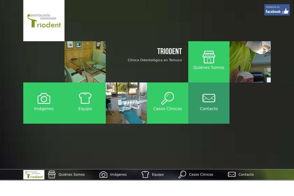 Argo theme site design template sample