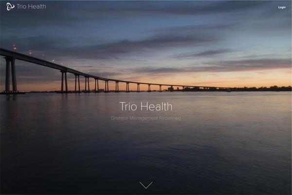 Port theme site design template sample