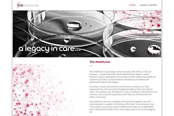 Html5blank-master theme site design template sample