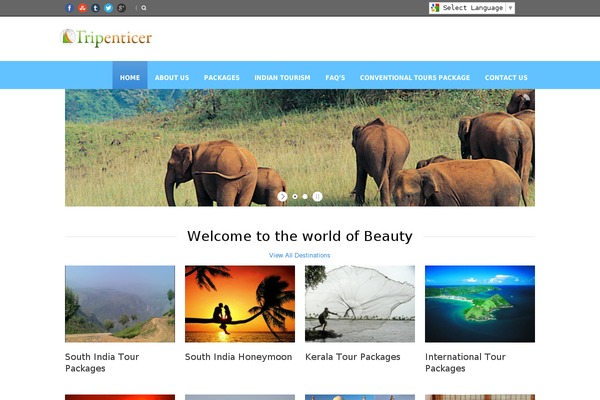Tour Package v1.01 theme site design template sample