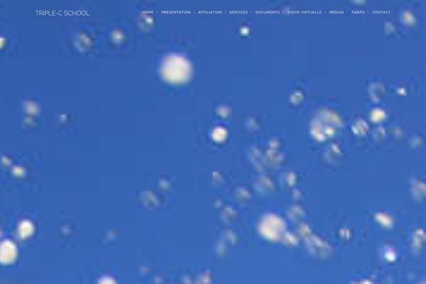 Brooklyn theme site design template sample