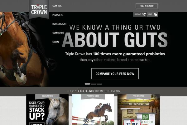 Site using Ecwid Shopping Cart plugin
