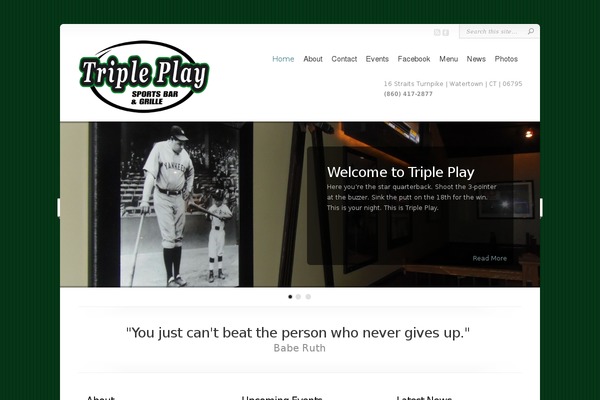 Chameleon theme site design template sample