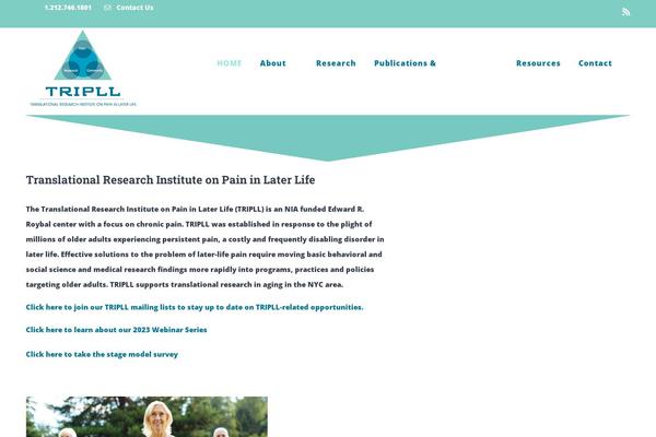 Site using Fusion-builder plugin