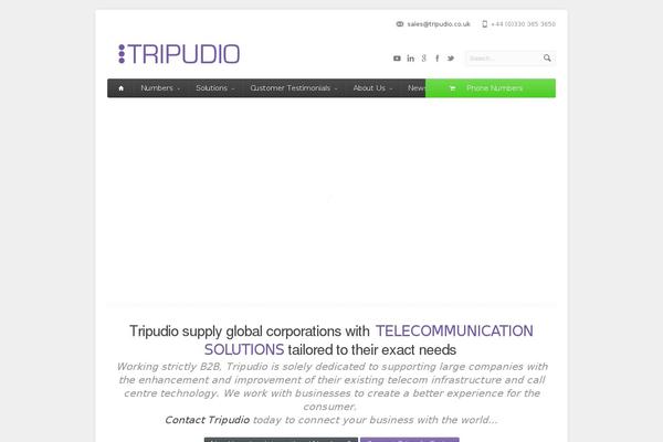 Site using Metro-style-social-widget plugin
