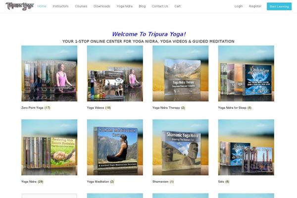 Site using Invoicedwp plugin