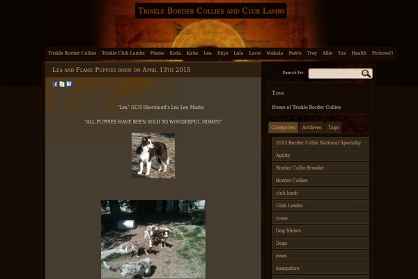 Site using Bd-hit-counter plugin