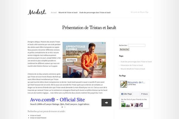 Modest theme site design template sample