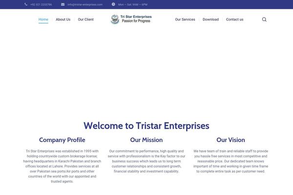 Site using Cws-svgicons plugin